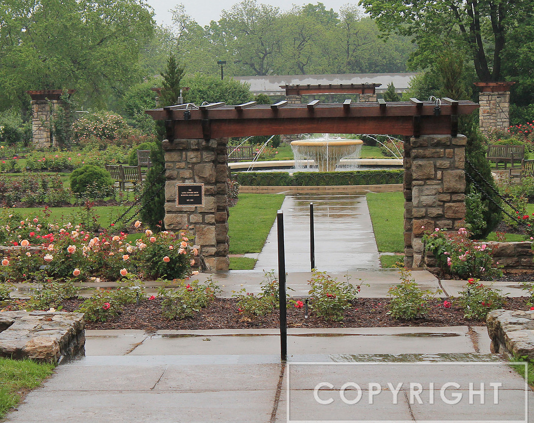 From the Rose Garden in Loose Park 11