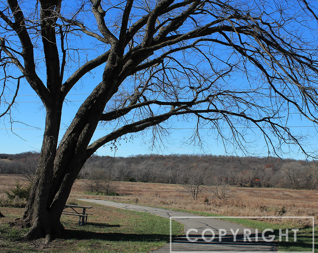 From the Gary Haller Trail 2