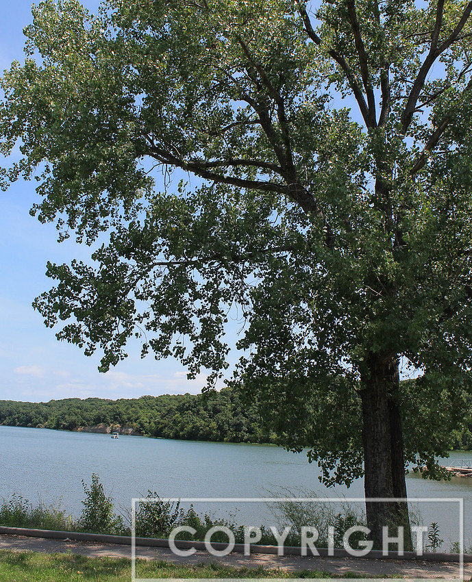 From Lake Jacomo 31